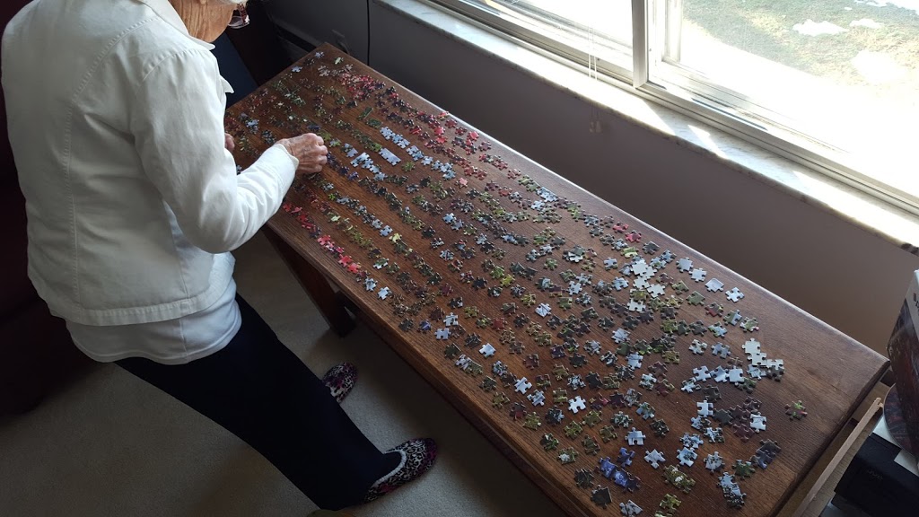 Anibal Group retiree assistance